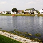 Beringer Commons Urbana IL Homes