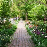 Brick Sidewalks in West Urbana IL