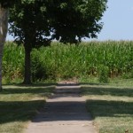 South Ridge Urbana IL Homes