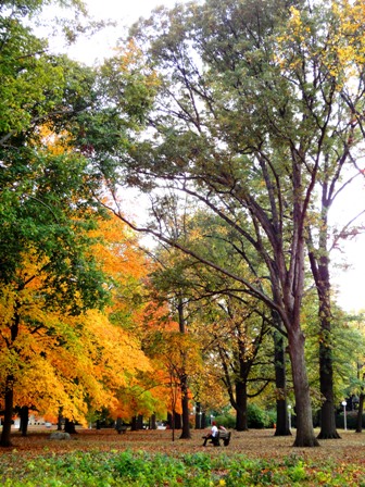 Carle Park Urbana IL Carle Park Urbana IL