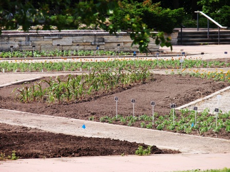 University of Illinois Arboretum University of Illinois Arboretum